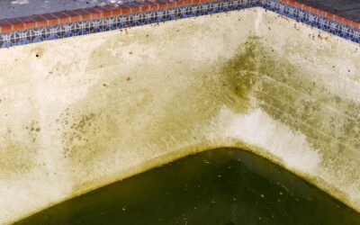 How To Remove Salt Stains From The Pool?