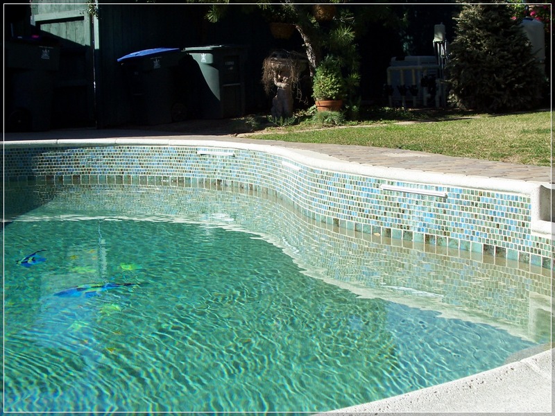 Best Swimming Pool Tiles Pros And Cons