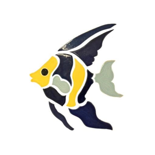 Coral Fish