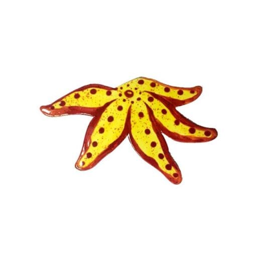 Starfish Yellow