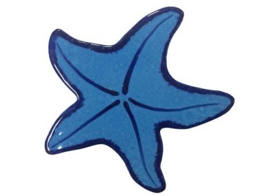 Starfish Blue 2 Tone