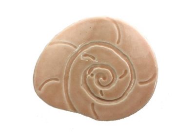 Turrid Shell