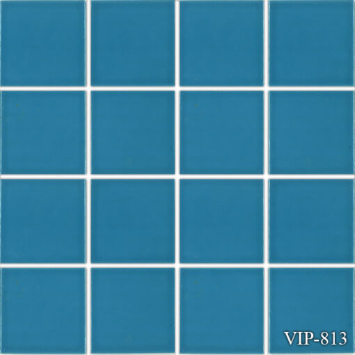 vip 813