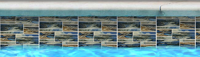 omega 24